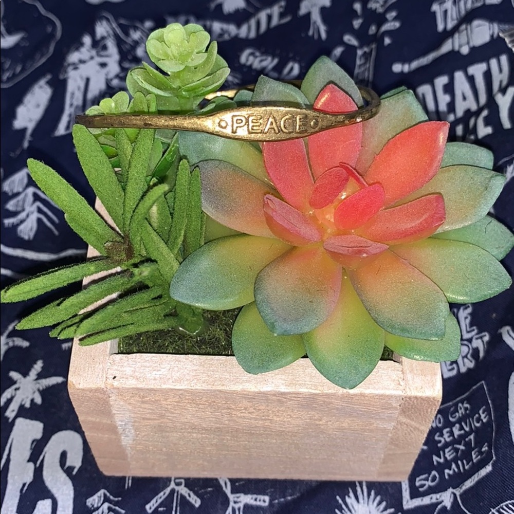 Lucky Brand Peace Bangle🍀